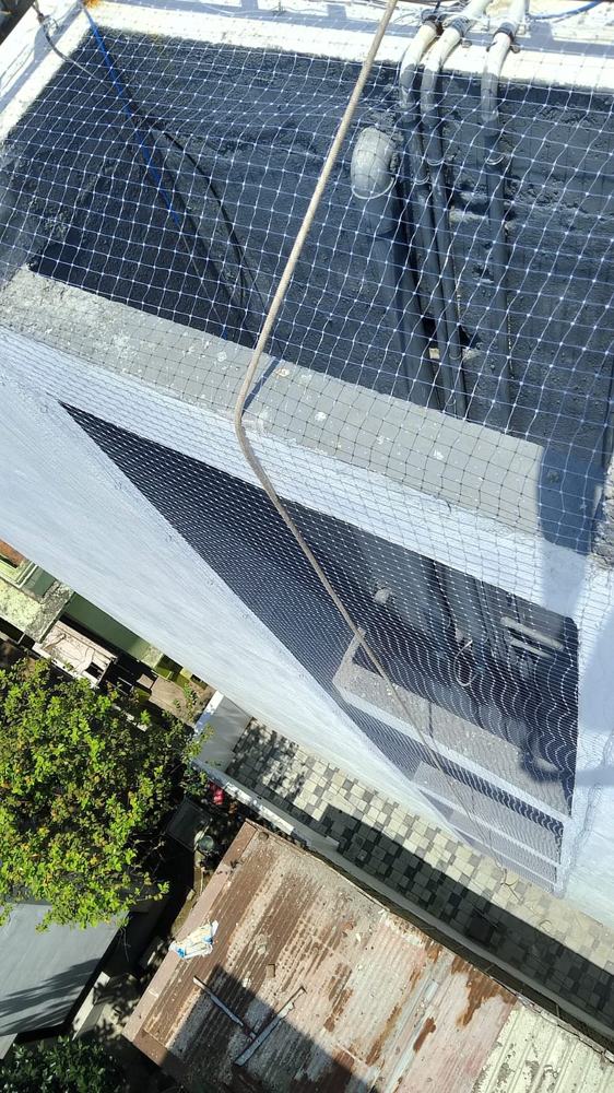 Pigeon Net work by YPL Safety Nets near Chennai – photo 3