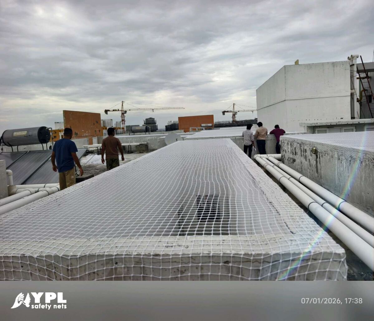 pigeon net installed by YPL Safety Nets – photo 5