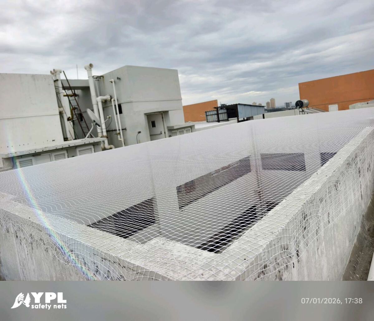 pigeon net installed by YPL Safety Nets – photo 6